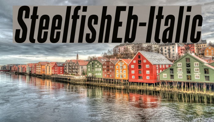 SteelfishEb-Italic Font examples