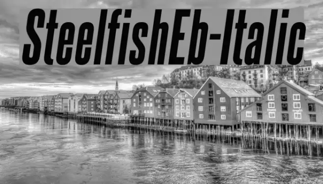 SteelfishEb-Italic Polices examples
