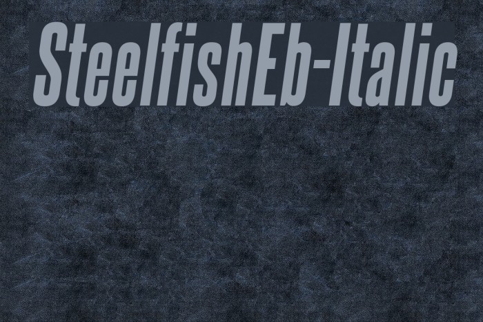 SteelfishEb-Italic Font examples
