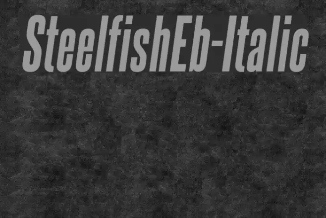 SteelfishEb-Italic Polices examples