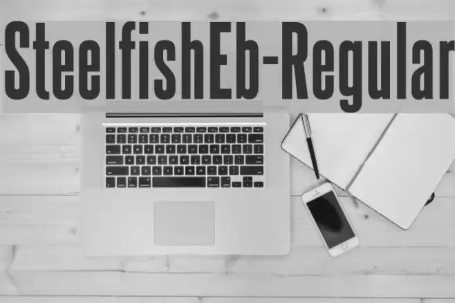 SteelfishEb-Regular Font examples