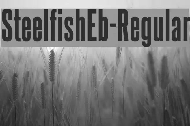 SteelfishEb-Regular Font examples
