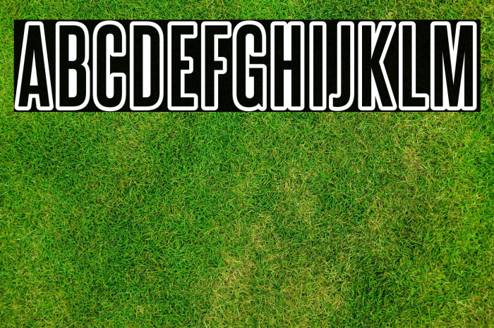 SteelfishOutline-Regular Example 1