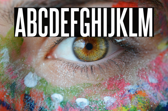 SteelfishRg-Bold Example 2