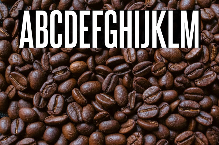 SteelfishRg-Bold Example 3