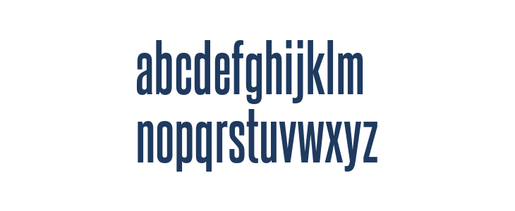 SteelfishRg-Bold Lowercase