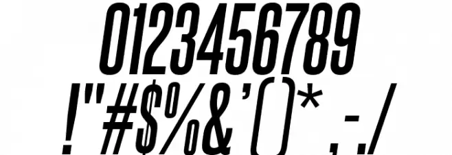 SteelfishRg-BoldItalic Font OTHER CHARS