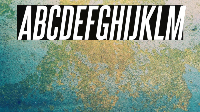 SteelfishRg-BoldItalic Example 1