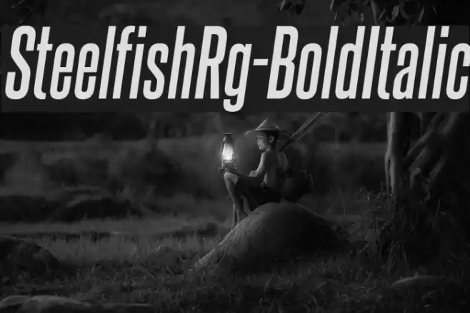 SteelfishRg-BoldItalic Font examples