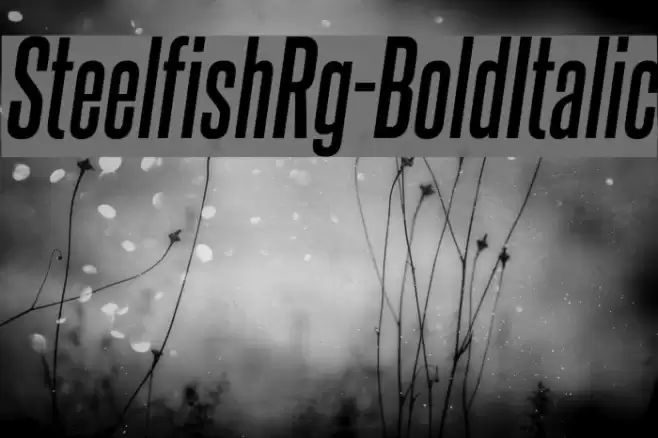 SteelfishRg-BoldItalic Font examples