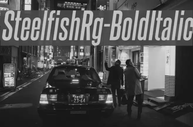 SteelfishRg-BoldItalic Font examples