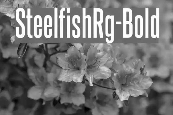 SteelfishRg-Bold Font examples