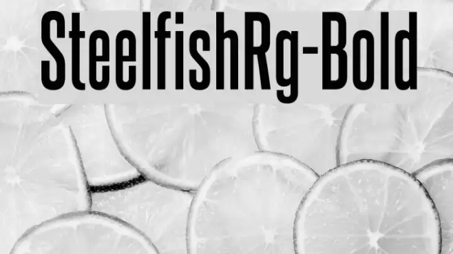 SteelfishRg-Bold Font examples