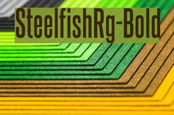 SteelfishRg-Bold Font examples