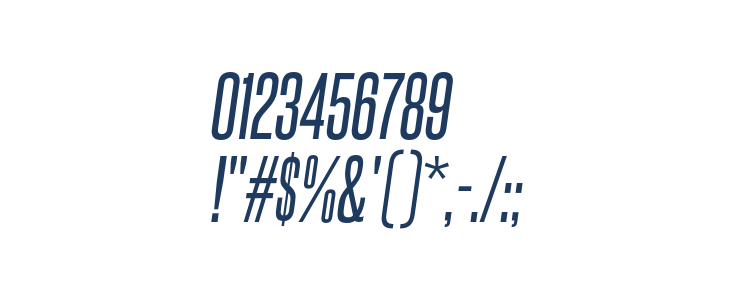 SteelfishRg-Italic Other Characters