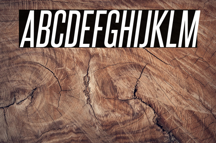 SteelfishRg-Italic Example 1