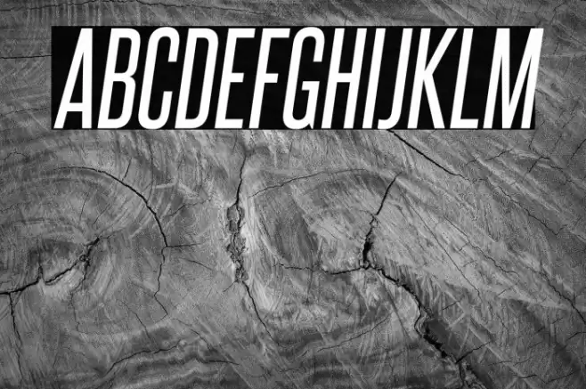 SteelfishRg-Italic Font examples