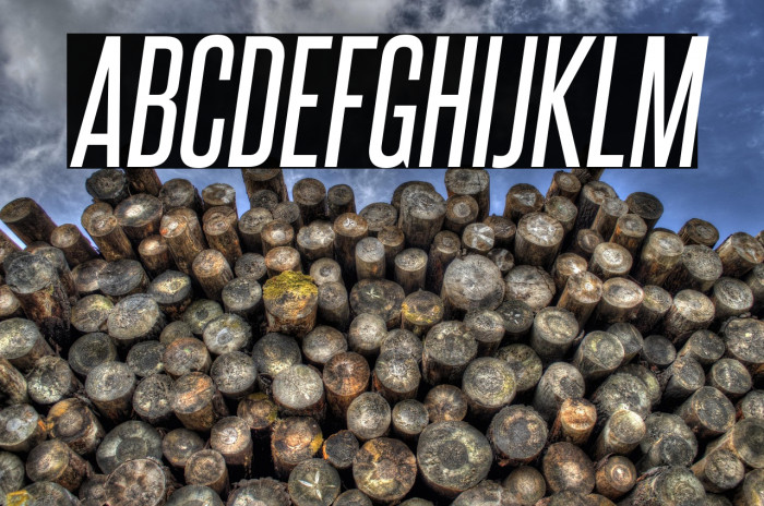 SteelfishRg-Italic Example 2