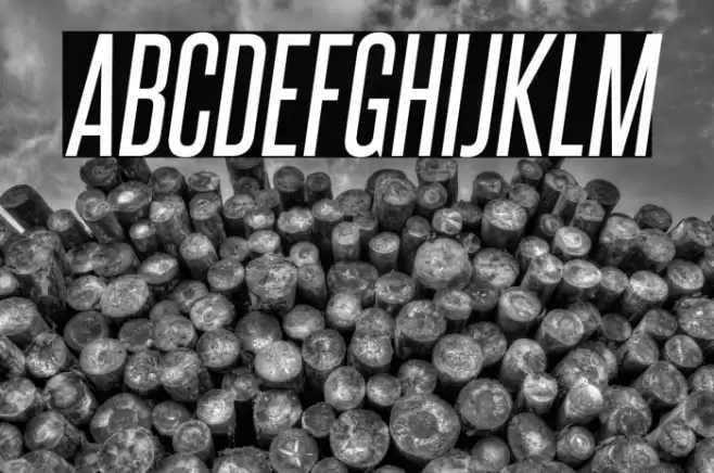 SteelfishRg-Italic Font examples