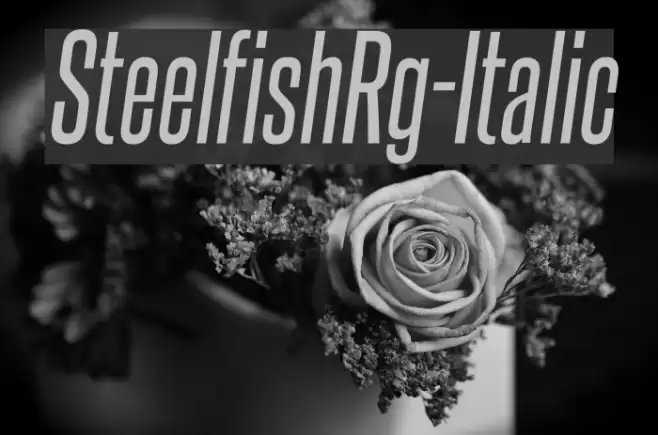 SteelfishRg-Italic Font examples