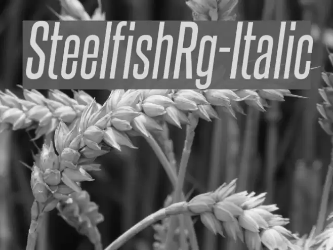 SteelfishRg-Italic Font examples