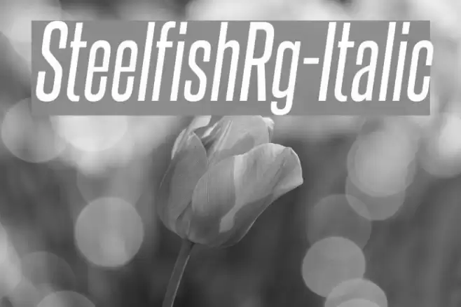 SteelfishRg-Italic Font examples
