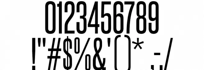 SteelfishRg-Regular Font OTHER CHARS