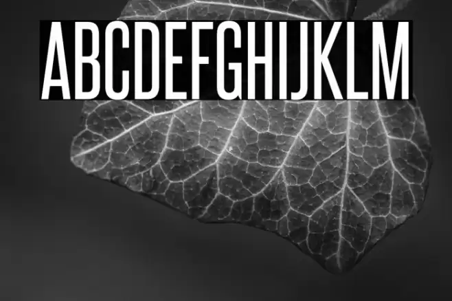 SteelfishRg-Regular Font examples