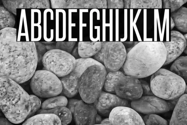 SteelfishRg-Regular Font examples