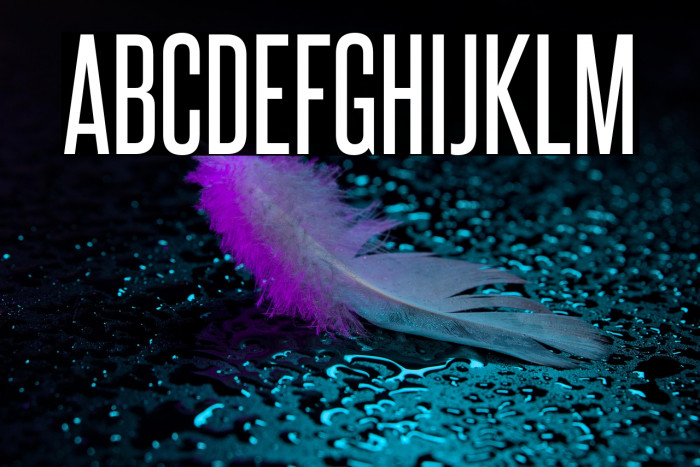 SteelfishRg-Regular Example 3