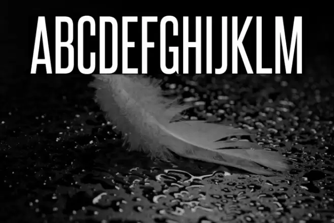 SteelfishRg-Regular Font examples