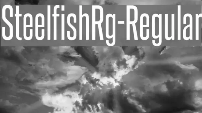 SteelfishRg-Regular Font examples