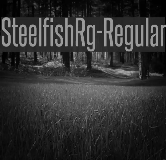 SteelfishRg-Regular Font examples