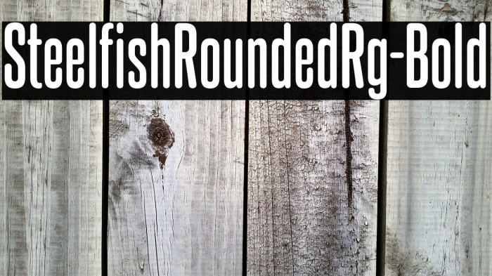 SteelfishRoundedRg-Bold Example 1