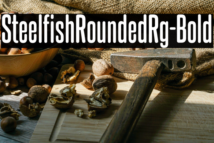 SteelfishRoundedRg-Bold Example 2