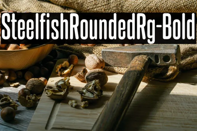SteelfishRoundedRg-Bold Example 2