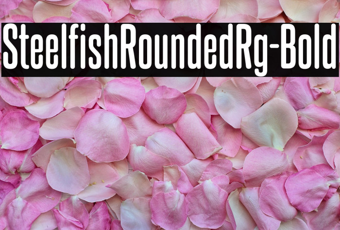 SteelfishRoundedRg-Bold Example 3