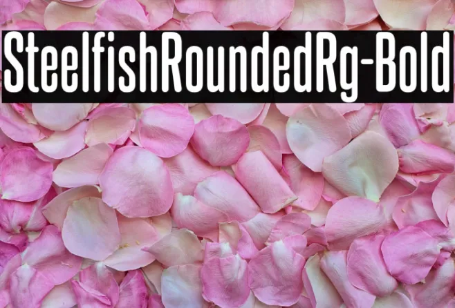 SteelfishRoundedRg-Bold Example 3