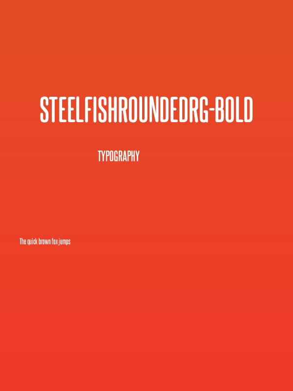 SteelfishRoundedRg-Bold Poster