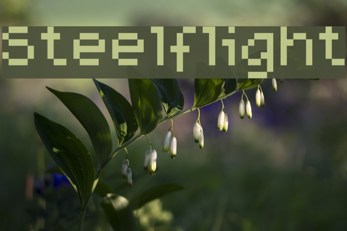 Steelflight Example 3