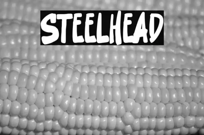 Steelhead Font examples