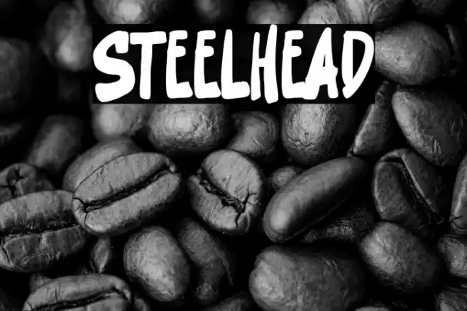 Steelhead Font examples
