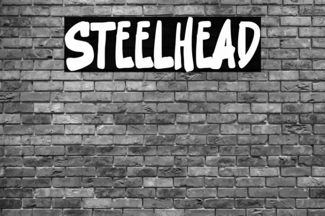 Steelhead Font examples