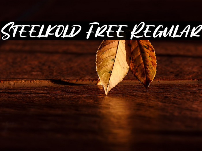 Steelkold Free Regular Example 2