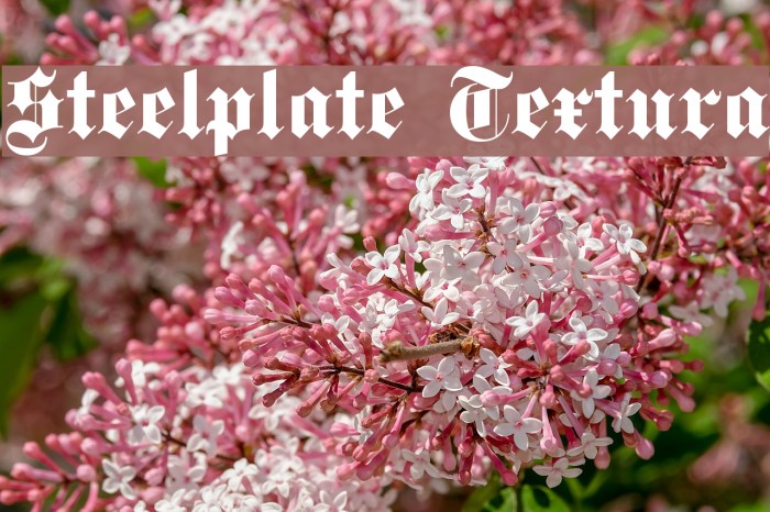 Steelplate Textura Font examples