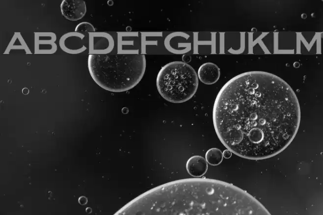 SteelplateGothicBold normal Font examples