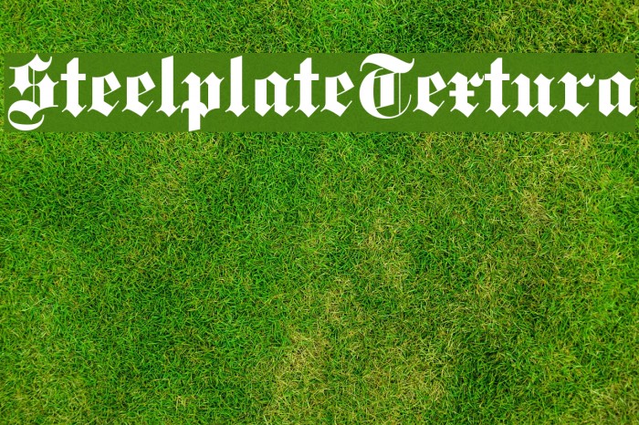 SteelplateTextura Font examples