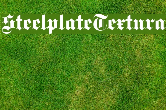 SteelplateTextura Example 2