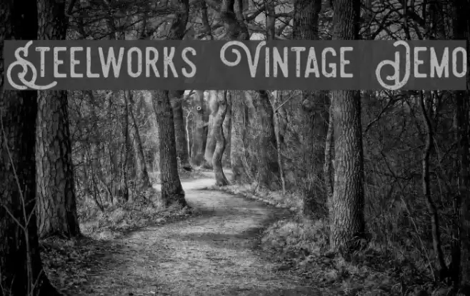 Steelworks Vintage Demo Font examples