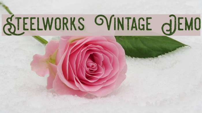 Steelworks Vintage Demo Font examples